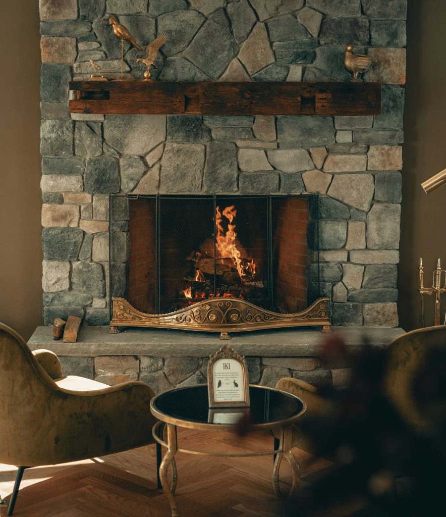 Fireplace and Chimney Inspection